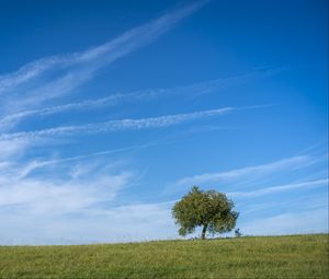 Превью обои горизонт, дерево, трава, небо, природа, облака