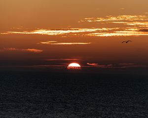 Превью обои горизонт, закат, туча, пасмурно