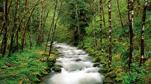 Превью обои горная река, деревья, лес, зеленый, белый, поток