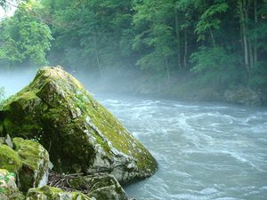 Превью обои горная река, камень, мох, адыгея