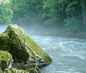 Превью обои горная река, камень, мох, адыгея