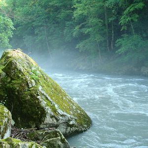 Превью обои горная река, камень, мох, адыгея