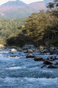 Превью обои горная река, поток, вода, камни, брызги