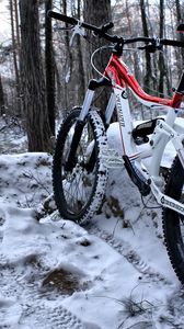 Превью обои горный велосипед, лес, следы, снег
