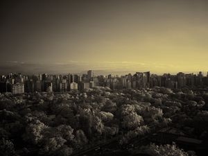 Превью обои город, деревья, небо, темный