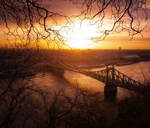 Превью обои город, мост, закат, ветви