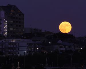 Превью обои город, ночь, луна, здания, темный