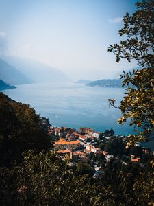 Превью обои город, побережье, ветки, море