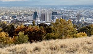 Превью обои город, природа, вид, трава, деревья