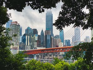 Превью обои город, здания, небоскребы, мост, деревья, вид