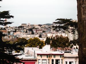 Превью обои город, здания, вид сверху, архитектура, ветки, деревья