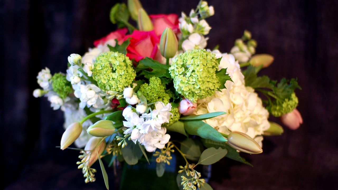 Обои гортензия, тюльпаны, бутоны, цветы, композиция, оформление