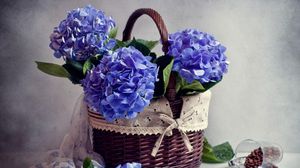 Превью обои гортензия, корзина, кофе, россыпь, шарф