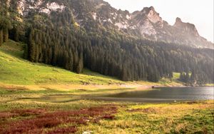 Превью обои горы, деревья, берег, река, природа