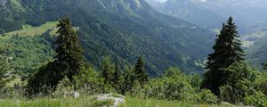 Превью обои горы, деревья, долина, пейзаж, природа, лес, растения