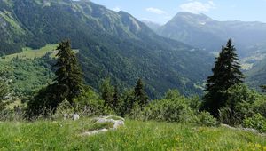 Превью обои горы, деревья, долина, пейзаж, природа, лес, растения