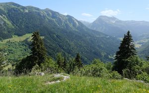 Превью обои горы, деревья, долина, пейзаж, природа, лес, растения