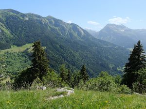 Превью обои горы, деревья, долина, пейзаж, природа, лес, растения