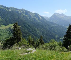 Превью обои горы, деревья, долина, пейзаж, природа, лес, растения