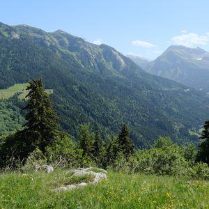 Превью обои горы, деревья, долина, пейзаж, природа, лес, растения