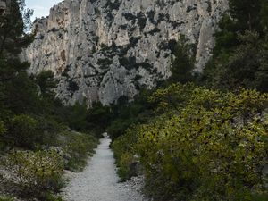 Превью обои горы, деревья, дорожка, пейзаж, природа