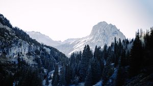 Превью обои горы, деревья, ель, снег, небо
