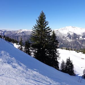 Превью обои горы, деревья, елки, снег, зима