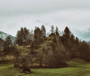 Превью обои горы, деревья, холмистый, рельеф, туман