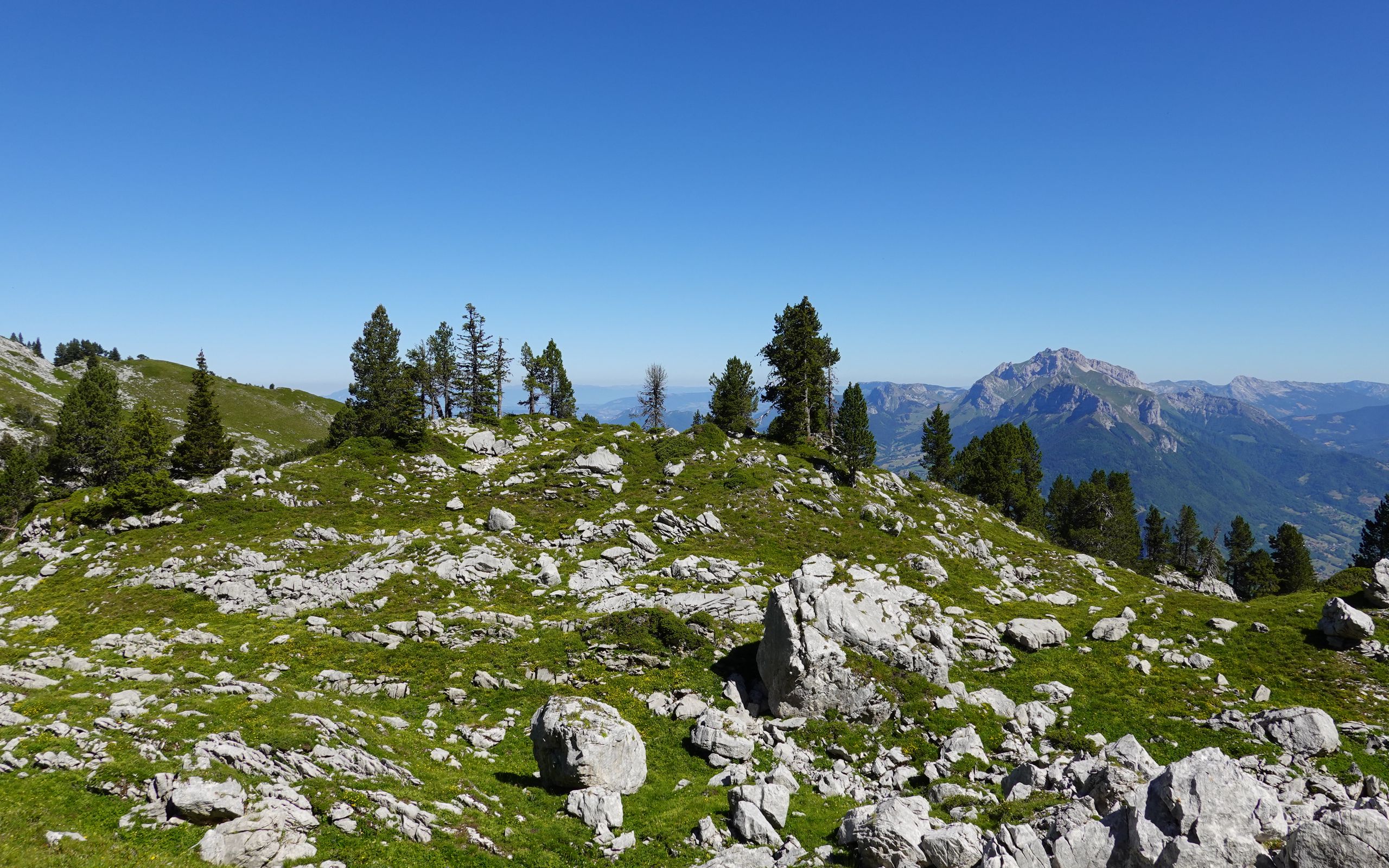 Каменная гора Бабаево. Каменная гора Бабаево памятник природы. Olympus Mountain. Горные камни названия и фото.