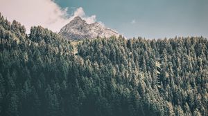Превью обои горы, деревья, коммуна, предои, италии