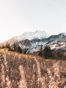 Превью обои горы, деревья, кусты, пейзаж, природа