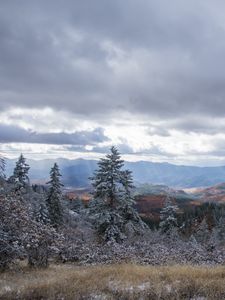 Превью обои горы, деревья, кусты, снег, природа