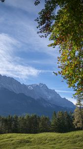 Превью обои горы, деревья, лес, луг, пейзаж