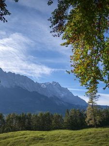 Превью обои горы, деревья, лес, луг, пейзаж