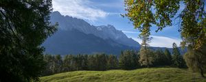Превью обои горы, деревья, лес, луг, пейзаж