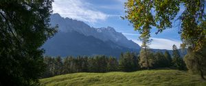 Превью обои горы, деревья, лес, луг, пейзаж