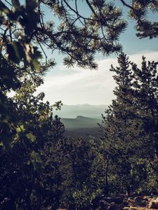 Превью обои горы, деревья, лес, хвойный, пейзаж