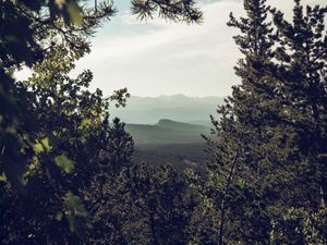 Превью обои горы, деревья, лес, хвойный, пейзаж