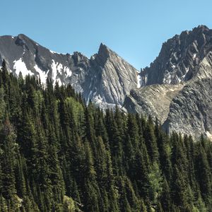 Превью обои горы, деревья, лес, природа
