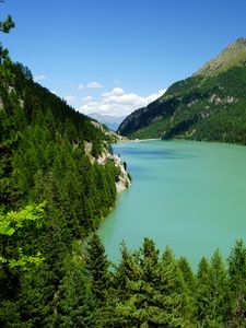 Превью обои горы, деревья, лес, озеро, пейзаж, вид сверху