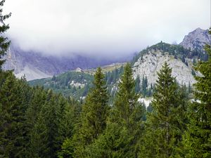 Превью обои горы, деревья, лес, туман, пейзаж, вид сверху