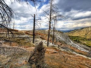 Превью обои горы, деревья, лес, мертвые, цвета