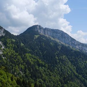 Превью обои горы, деревья, лес, склон, пейзаж