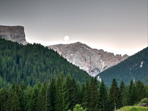 Превью обои горы, деревья, небо