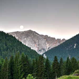 Превью обои горы, деревья, небо