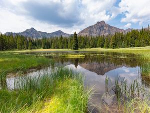 Превью обои горы, деревья, озеро, трава, природа, пейзаж