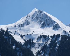 Превью обои горы, деревья, пейзаж, склон, снег