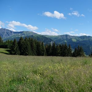Превью обои горы, деревья, поле, природа, пейзаж