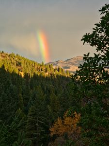 Превью обои горы, деревья, радуга, пейзаж