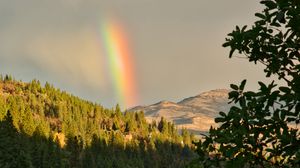 Превью обои горы, деревья, радуга, пейзаж